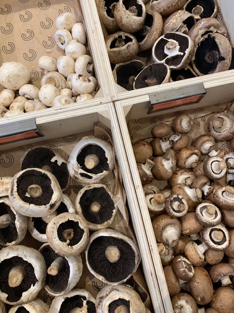 Wooden trays packed with button and portobello mushrooms ready for a bulk order