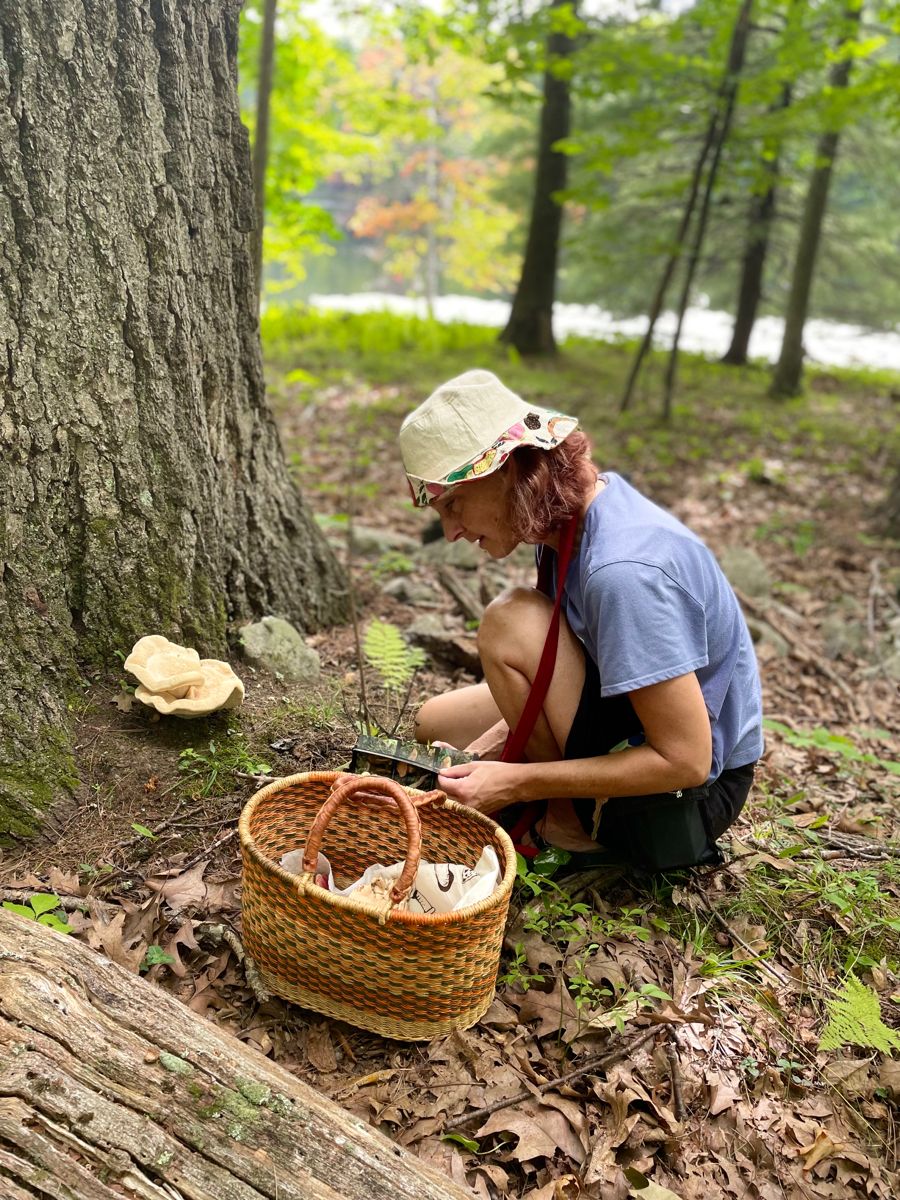 A grower crouching to cut mushrooms into a woven basket