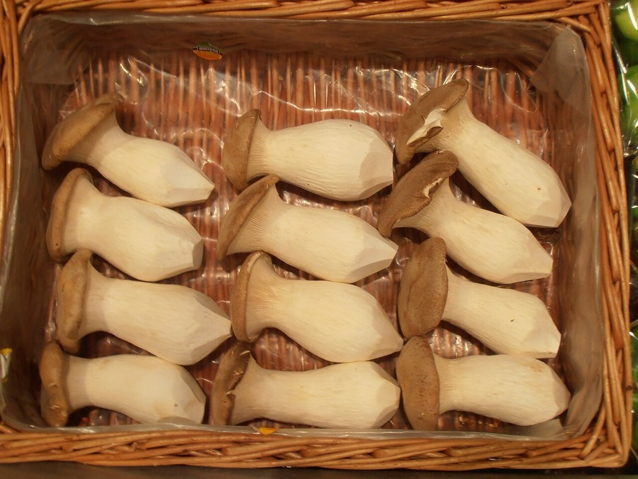 Abalone Chef Box — 3 kg