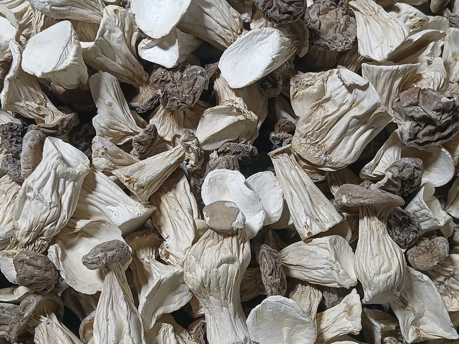 Dried Oyster Slices