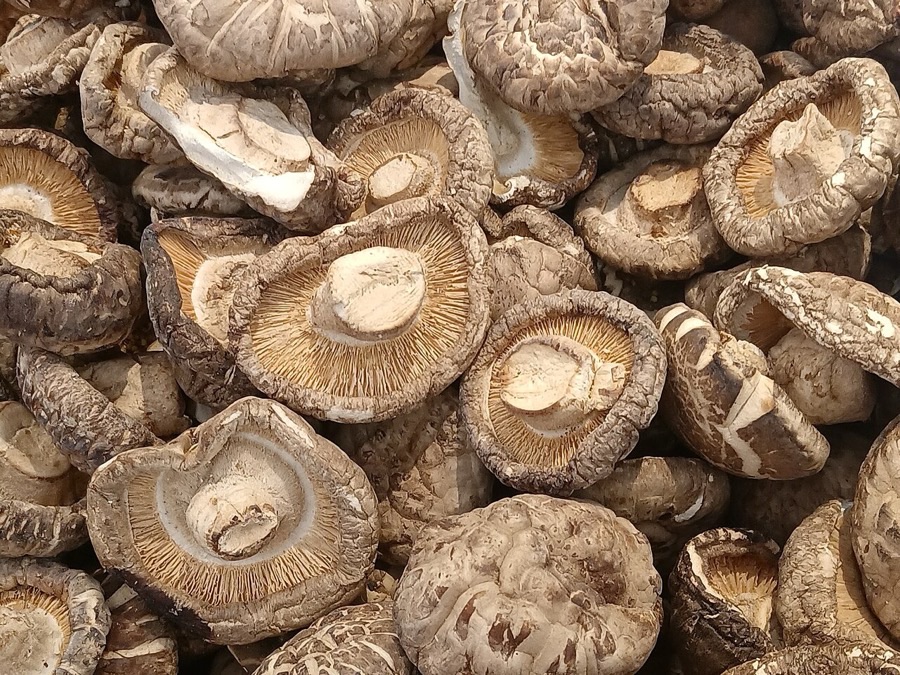 Dried Shiitake — Whole Caps