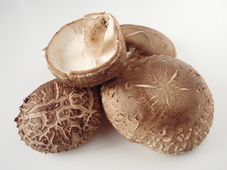 Fresh Shiitake