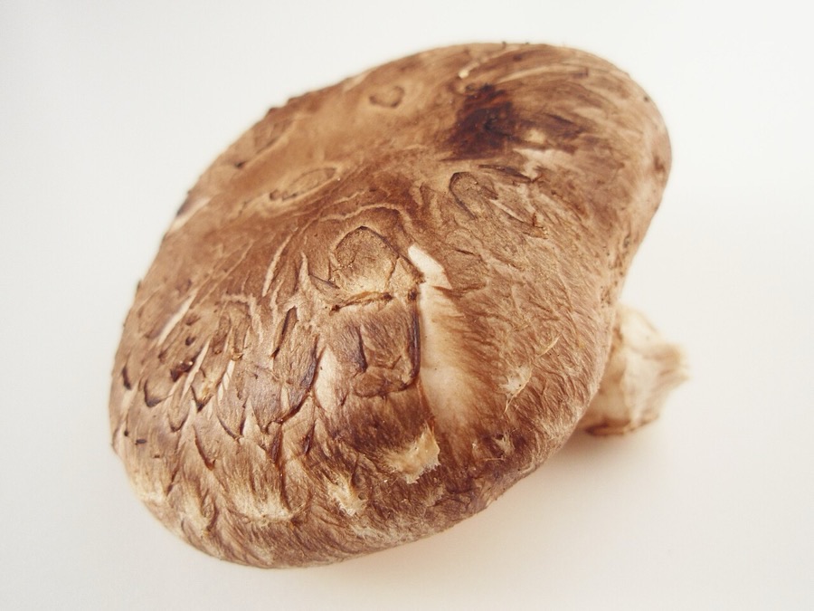 Premium Shiitake Caps
